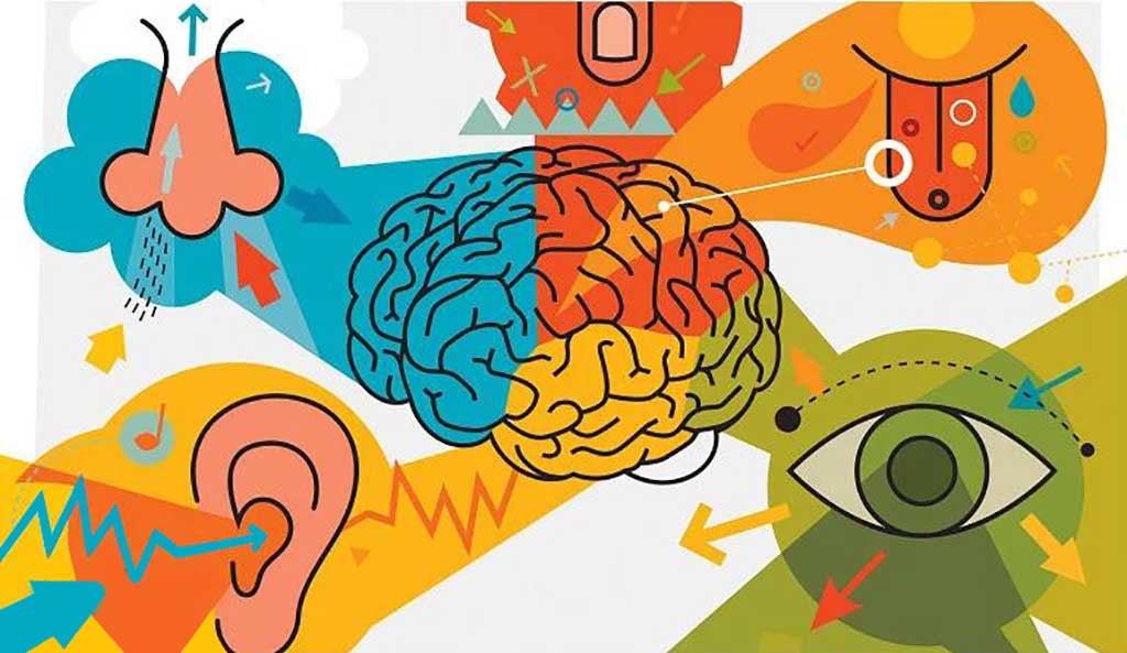 تفاوت بیش حسی در كودكان كمتر يا بیشتر از دو سال